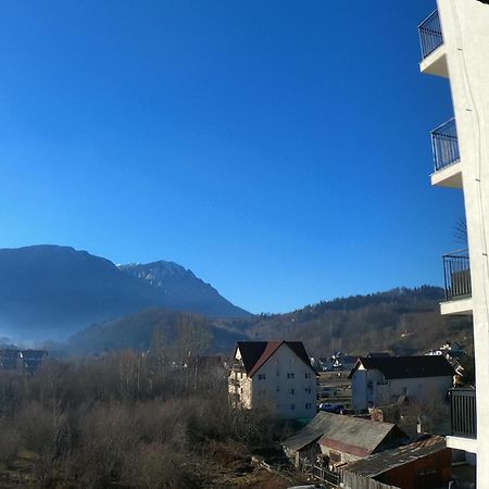 Panoramic Residence Зернешті Екстер'єр фото