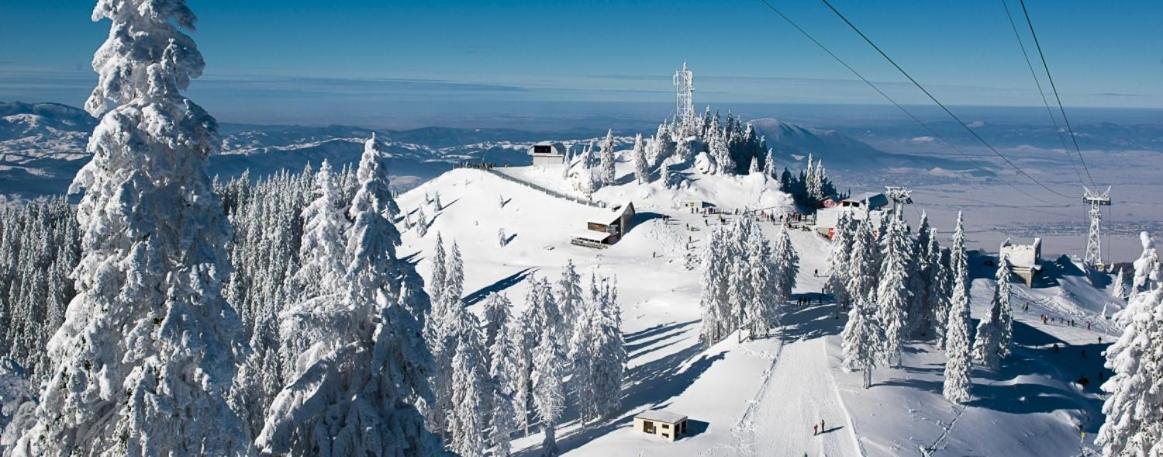Panoramic Residence Зернешті Екстер'єр фото