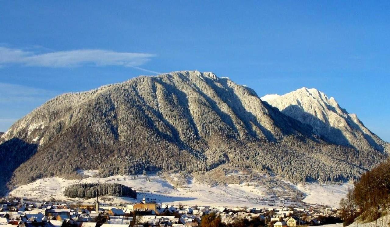 Panoramic Residence Зернешті Екстер'єр фото
