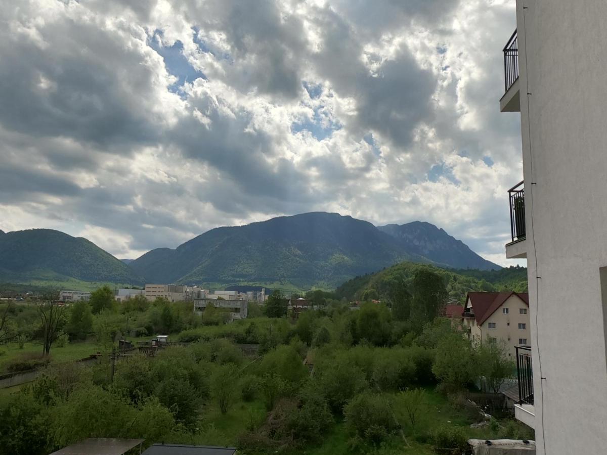 Panoramic Residence Зернешті Екстер'єр фото