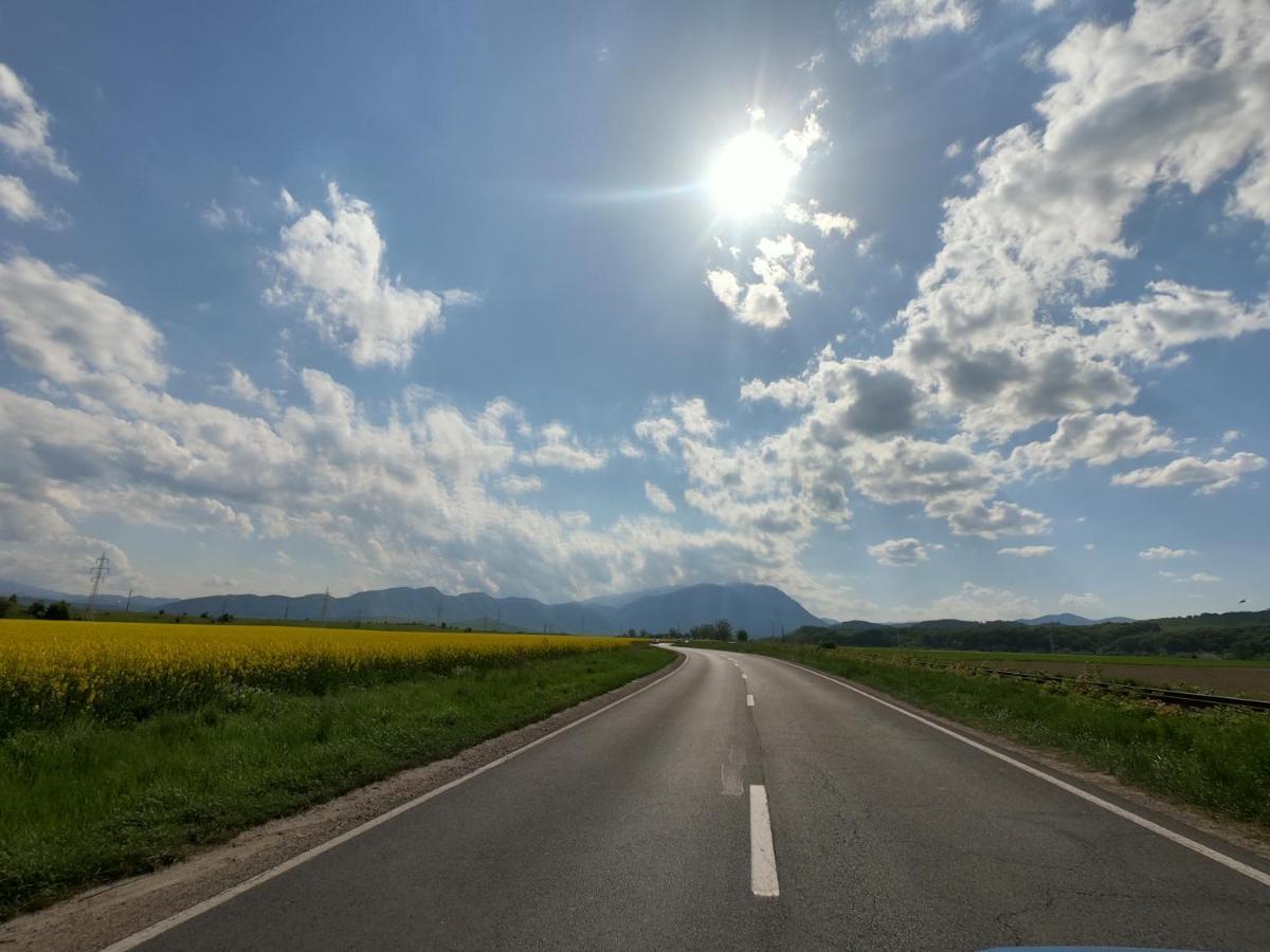 Panoramic Residence Зернешті Екстер'єр фото