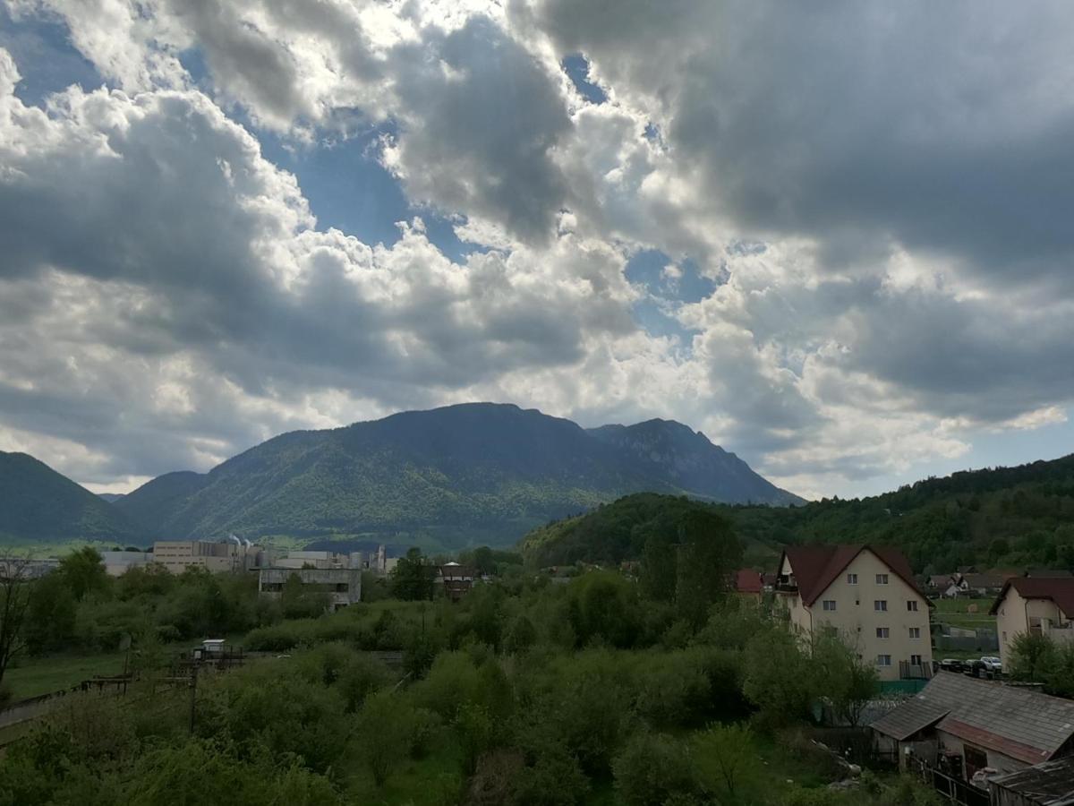 Panoramic Residence Зернешті Екстер'єр фото
